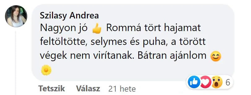 Vásárlói vélemény a TheSilkyWay termék használatáról töredezett hajra